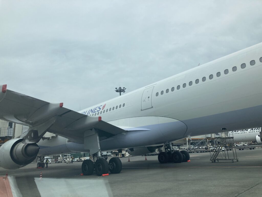 飛行機搬送